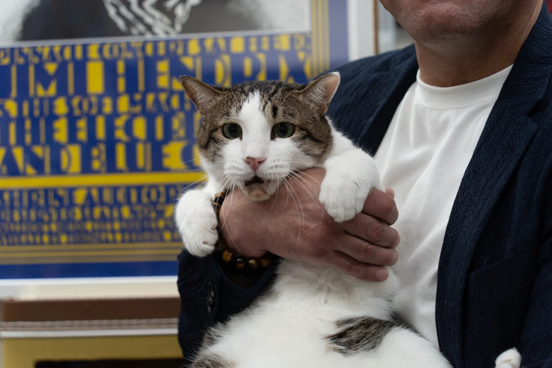 親しみやすい司法書士を漫画で紹介